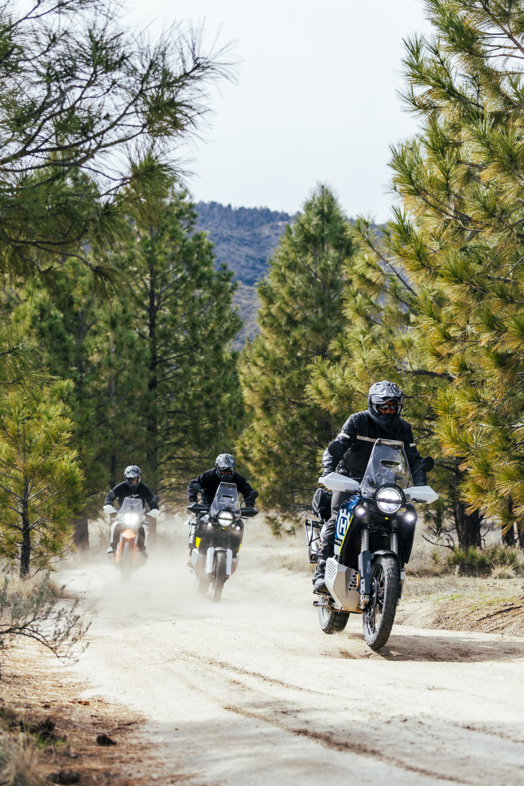 aliv_worldwide_cover_shots_118